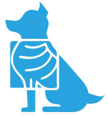 Diagnostica per immagini