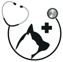 Medicina interna